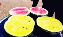 瓜瓜的最新爆料吃瓜,揭秘娱乐圈最新惊天大瓜！