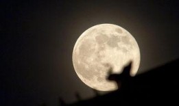 超级月亮爆料视频下载,独家爆料视频深度解析